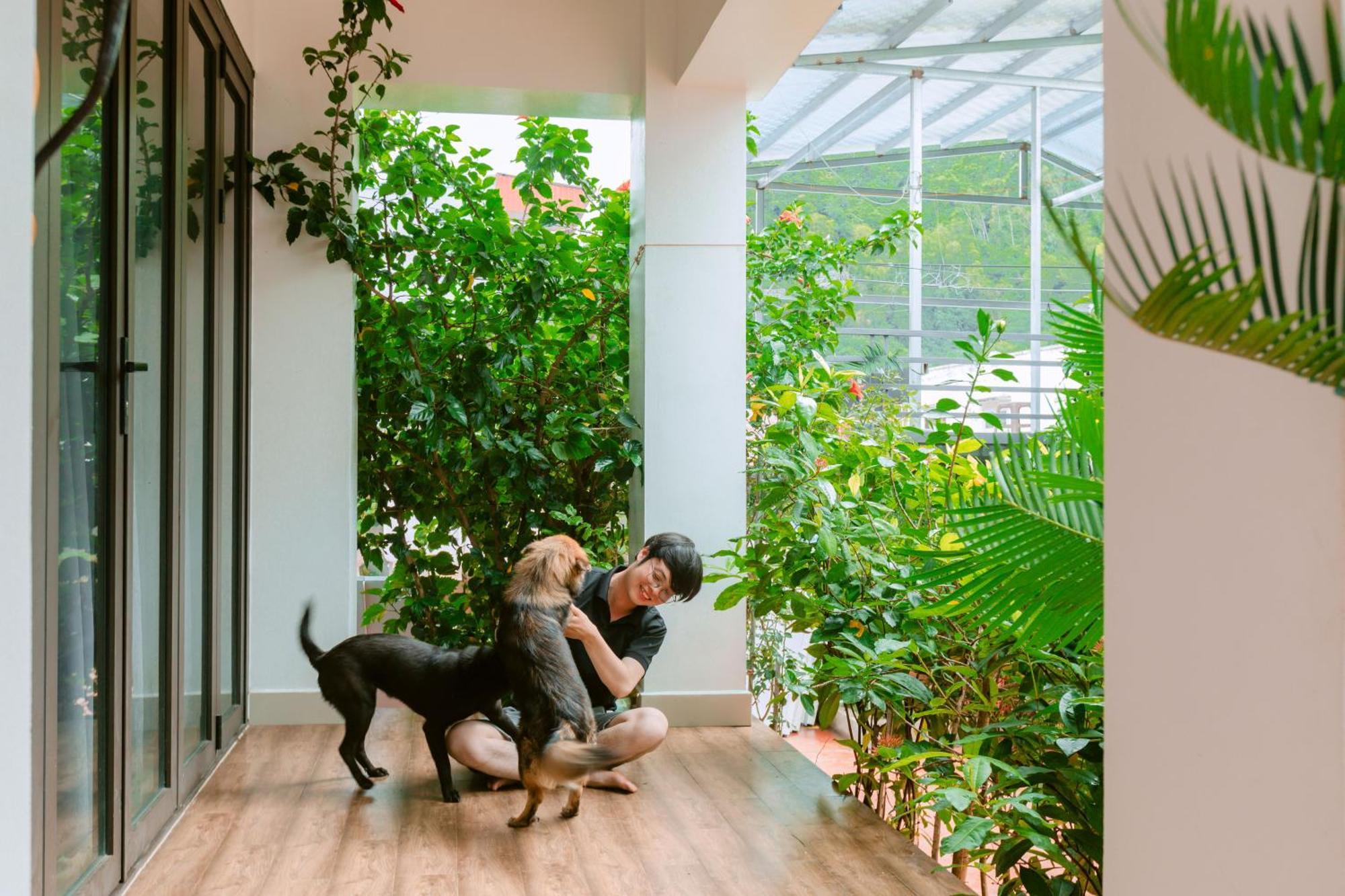D'Home Homestay Cat Ba Dong Khe Sau Exterior foto